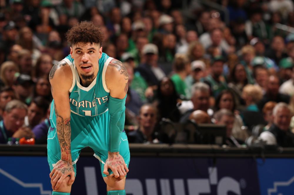 逐渐成为粉 逐渐成为粉