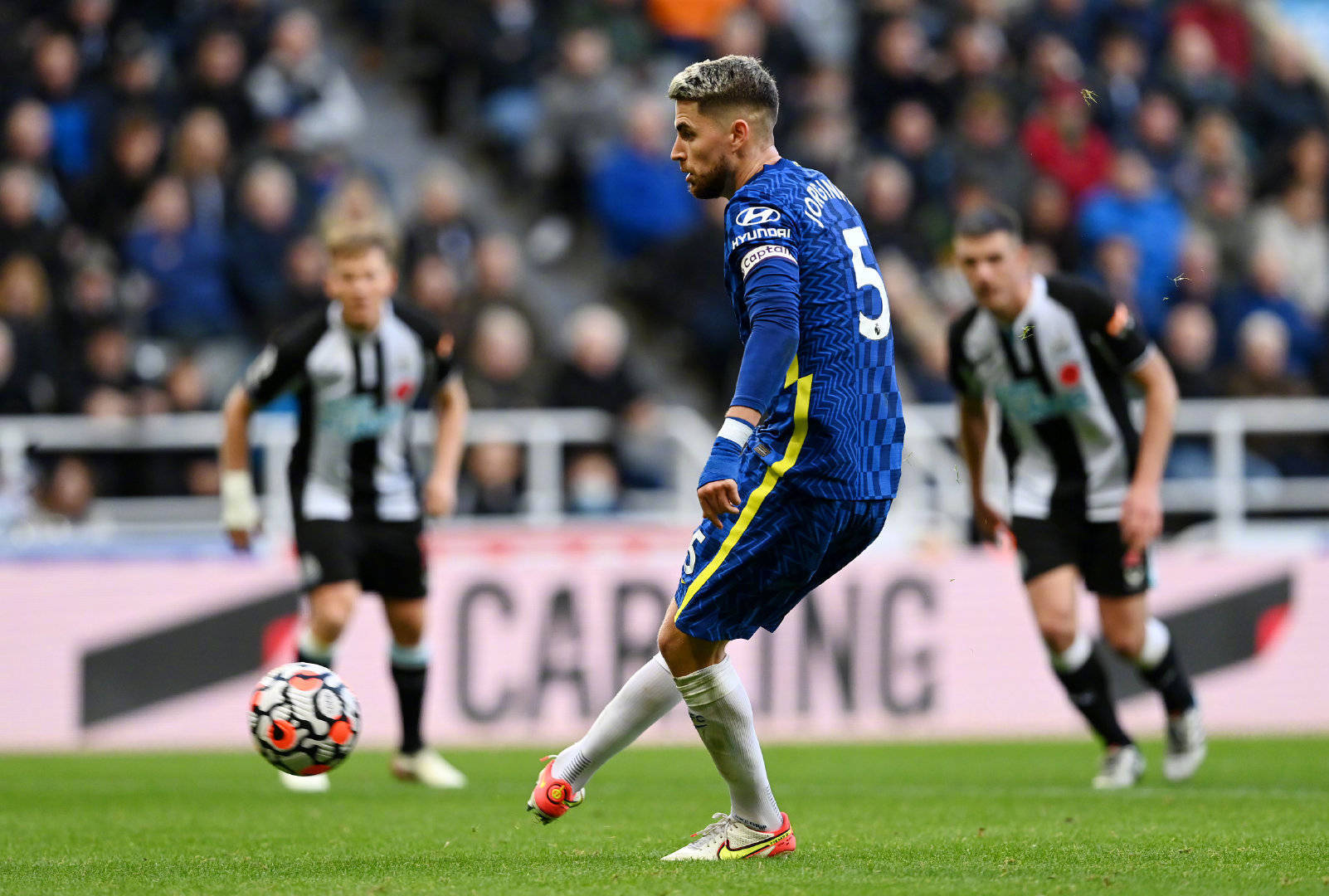 望在本届世 望在本届世